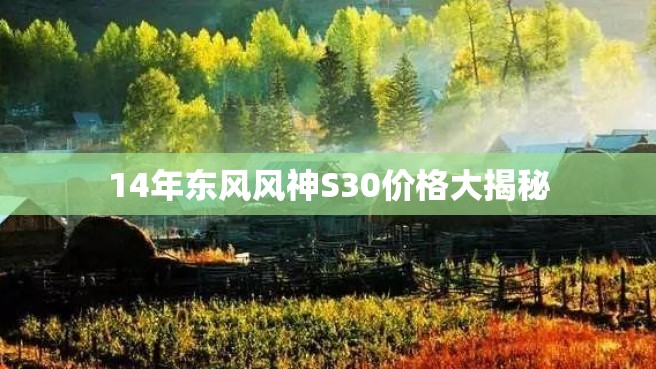 14年东风风神S30价格大揭秘