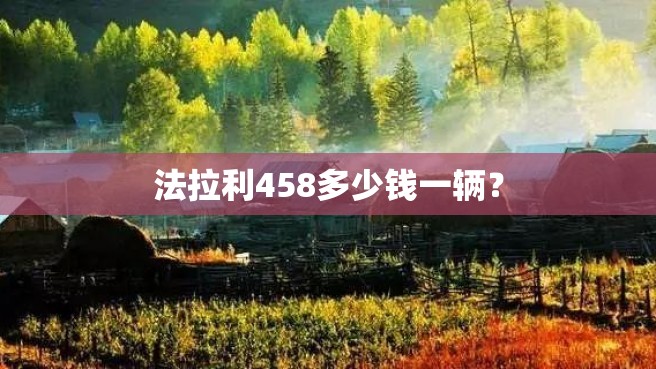 法拉利458多少钱一辆？