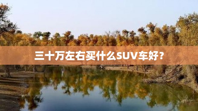 三十万左右买什么SUV车好？