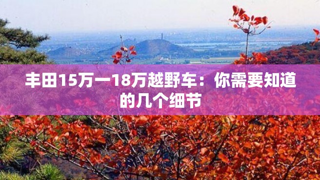 丰田15万一18万越野车：你需要知道的几个细节