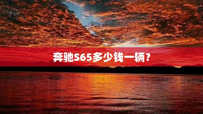 奔驰S65多少钱一辆？