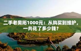 二手老奥拓1000元：从购买到维护，一共花了多少钱？