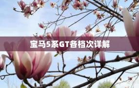 宝马5系GT各档次详解