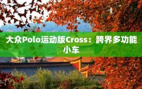 大众Polo运动版Cross：跨界多功能小车