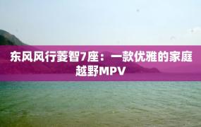 东风风行菱智7座：一款优雅的家庭越野MPV