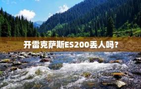 开雷克萨斯ES200丢人吗？