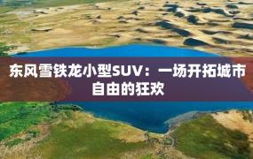 东风雪铁龙小型SUV：一场开拓城市自由的狂欢