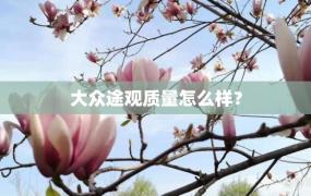 大众途观质量怎么样？