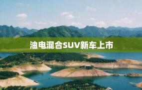 油电混合SUV新车上市