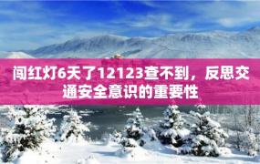 闯红灯6天了12123查不到，反思交通安全意识的重要性