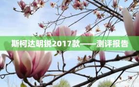 斯柯达明锐2017款——测评报告