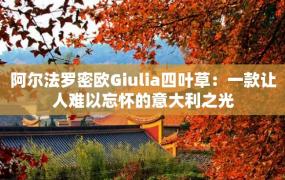 阿尔法罗密欧Giulia四叶草：一款让人难以忘怀的意大利之光