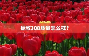 标致308质量怎么样？