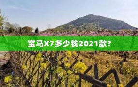 宝马X7多少钱2021款？