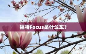 福特Focus是什么车？