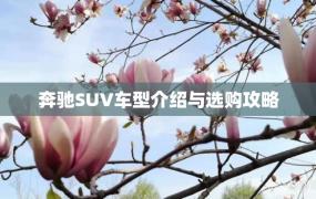 奔驰SUV车型介绍与选购攻略