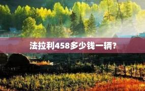 法拉利458多少钱一辆？