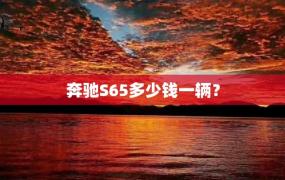 奔驰S65多少钱一辆？