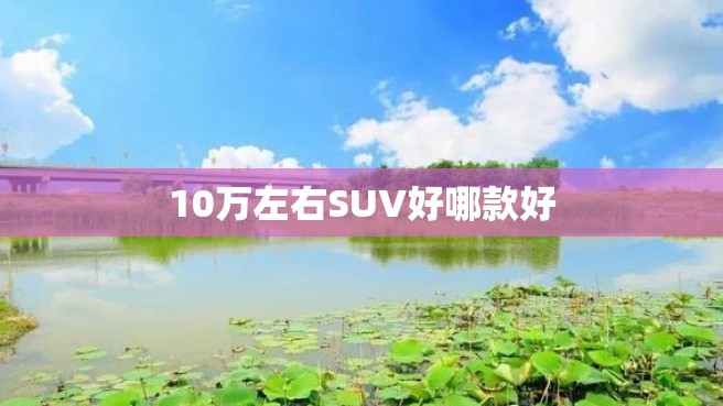 10万左右SUV好哪款好