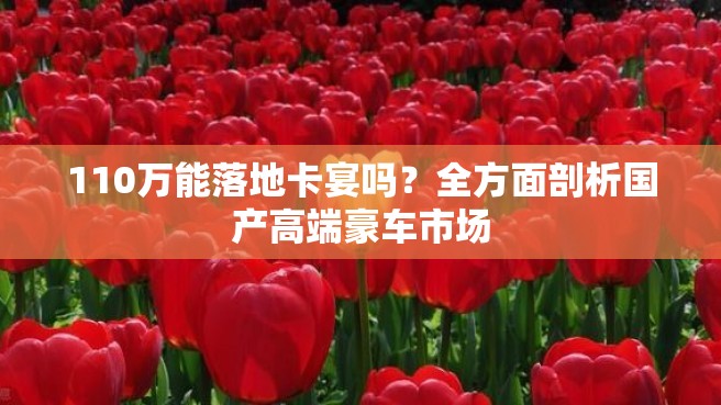 110万能落地卡宴吗？全方面剖析国产高端豪车市场