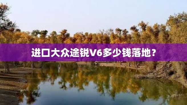 进口大众途锐V6多少钱落地？