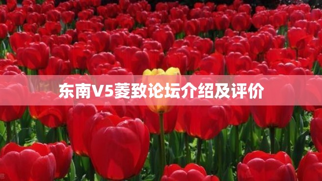 东南V5菱致论坛介绍及评价