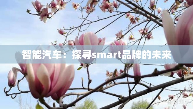 智能汽车：探寻smart品牌的未来