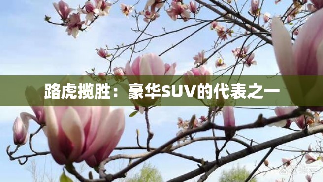 路虎揽胜：豪华SUV的代表之一