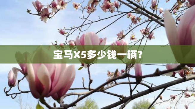 宝马X5多少钱一辆？