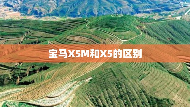 宝马X5M和X5的区别