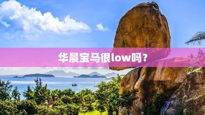 华晨宝马很low吗？