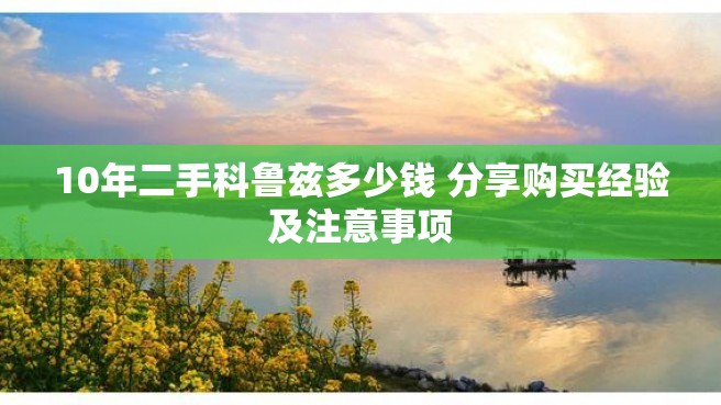 10年二手科鲁兹多少钱 分享购买经验及注意事项