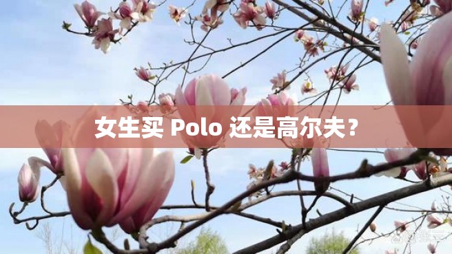 女生买 Polo 还是高尔夫？