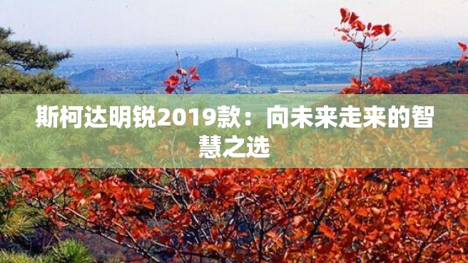 斯柯达明锐2019款：向未来走来的智慧之选