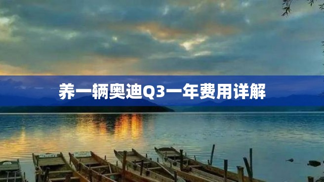 养一辆奥迪Q3一年费用详解