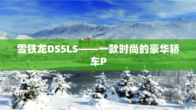 雪铁龙DS5LS——一款时尚的豪华轿车P