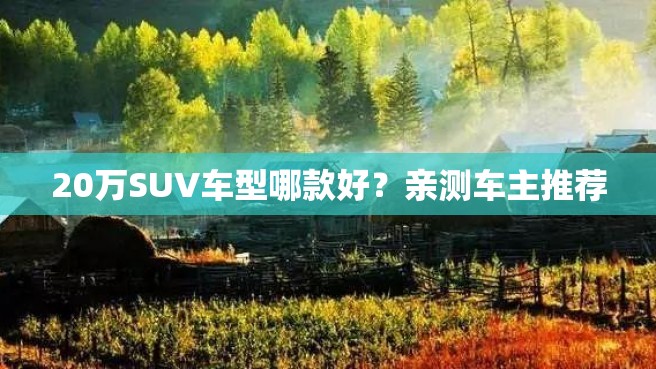 20万SUV车型哪款好？亲测车主推荐