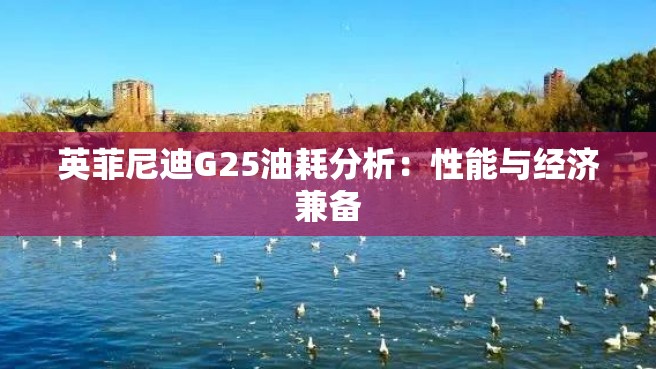 英菲尼迪G25油耗分析：性能与经济兼备