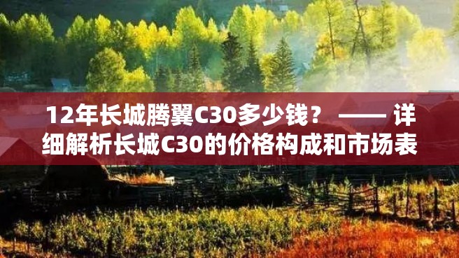 12年长城腾翼C30多少钱？ —— 详细解析长城C30的价格构成和市场表现