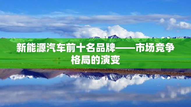 新能源汽车前十名品牌——市场竞争格局的演变