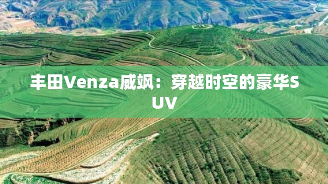 丰田Venza威飒：穿越时空的豪华SUV