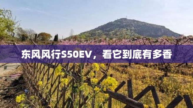 东风风行S50EV，看它到底有多香