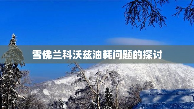 雪佛兰科沃兹油耗问题的探讨