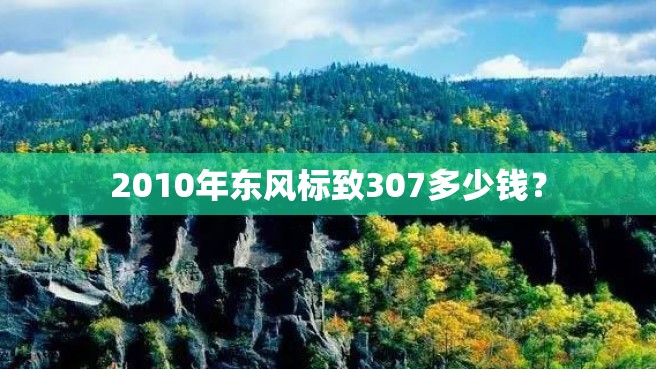 2010年东风标致307多少钱？