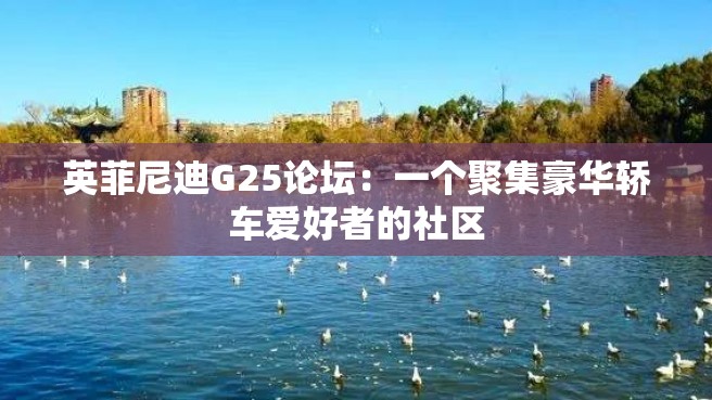 英菲尼迪G25论坛：一个聚集豪华轿车爱好者的社区