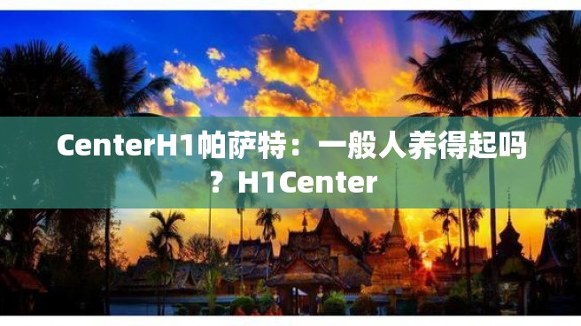 CenterH1帕萨特：一般人养得起吗？H1Center