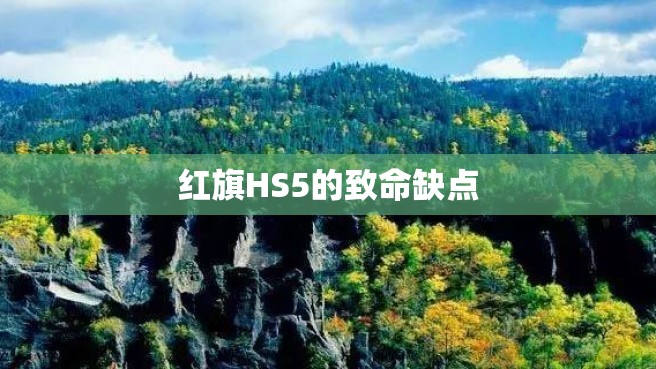 红旗HS5的致命缺点