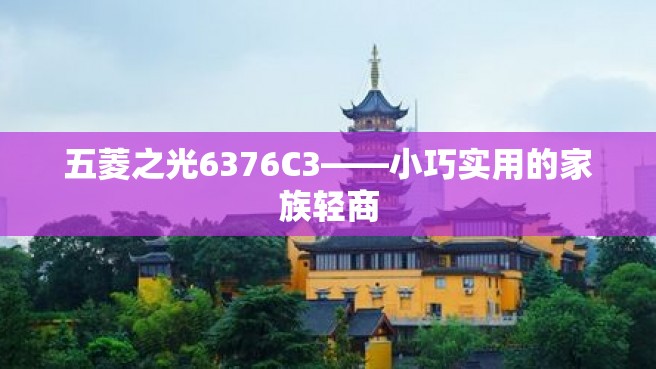 五菱之光6376C3——小巧实用的家族轻商