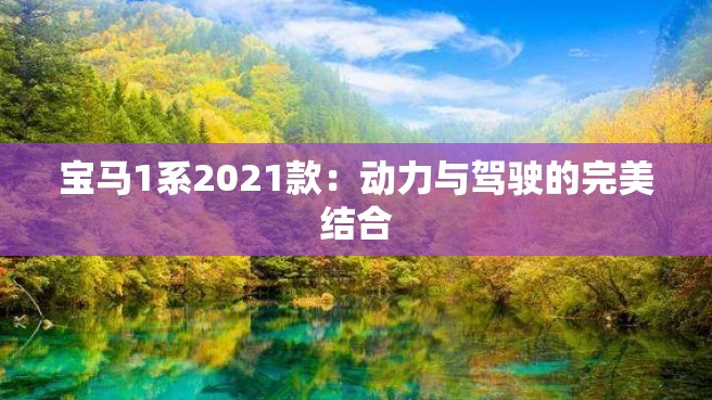 宝马1系2021款：动力与驾驶的完美结合