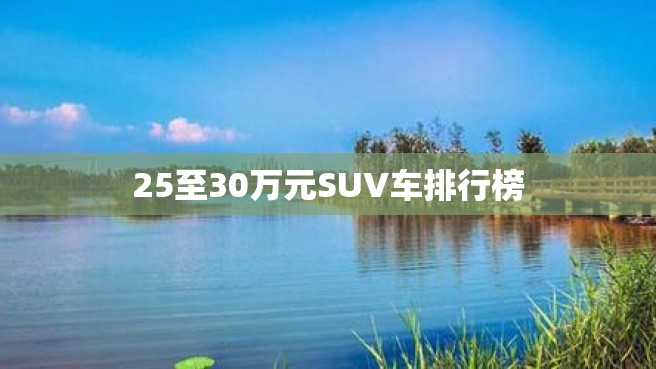 25至30万元SUV车排行榜